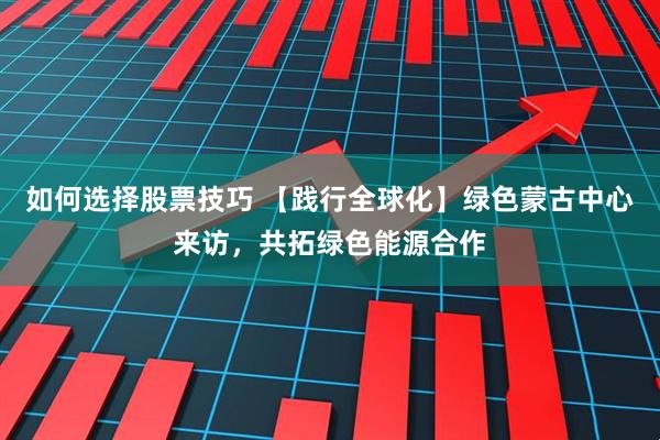 如何选择股票技巧 【践行全球化】绿色蒙古中心来访，共拓绿色能源合作