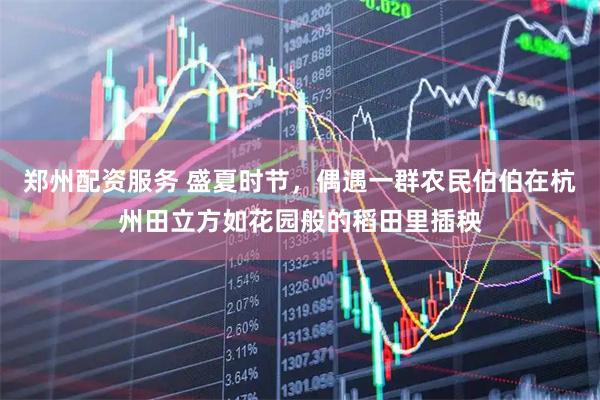 郑州配资服务 盛夏时节，偶遇一群农民伯伯在杭州田立方如花园般的稻田里插秧