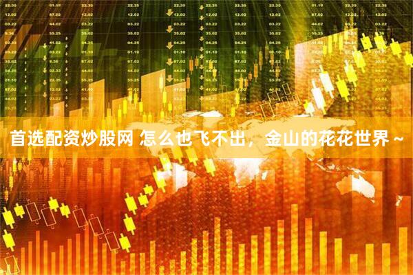 首选配资炒股网 怎么也飞不出，金山的花花世界～
